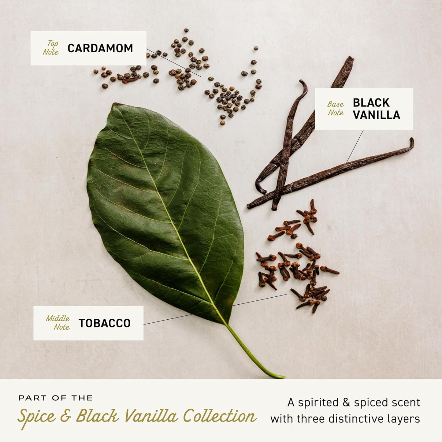 Cologne for Men - Spice & Black Vanilla Mens Cologne Spray - an Explosion of Vibrant Spices, Dark Woods and Black Vanilla, Fragrances for Men, 3.4 Fl Oz