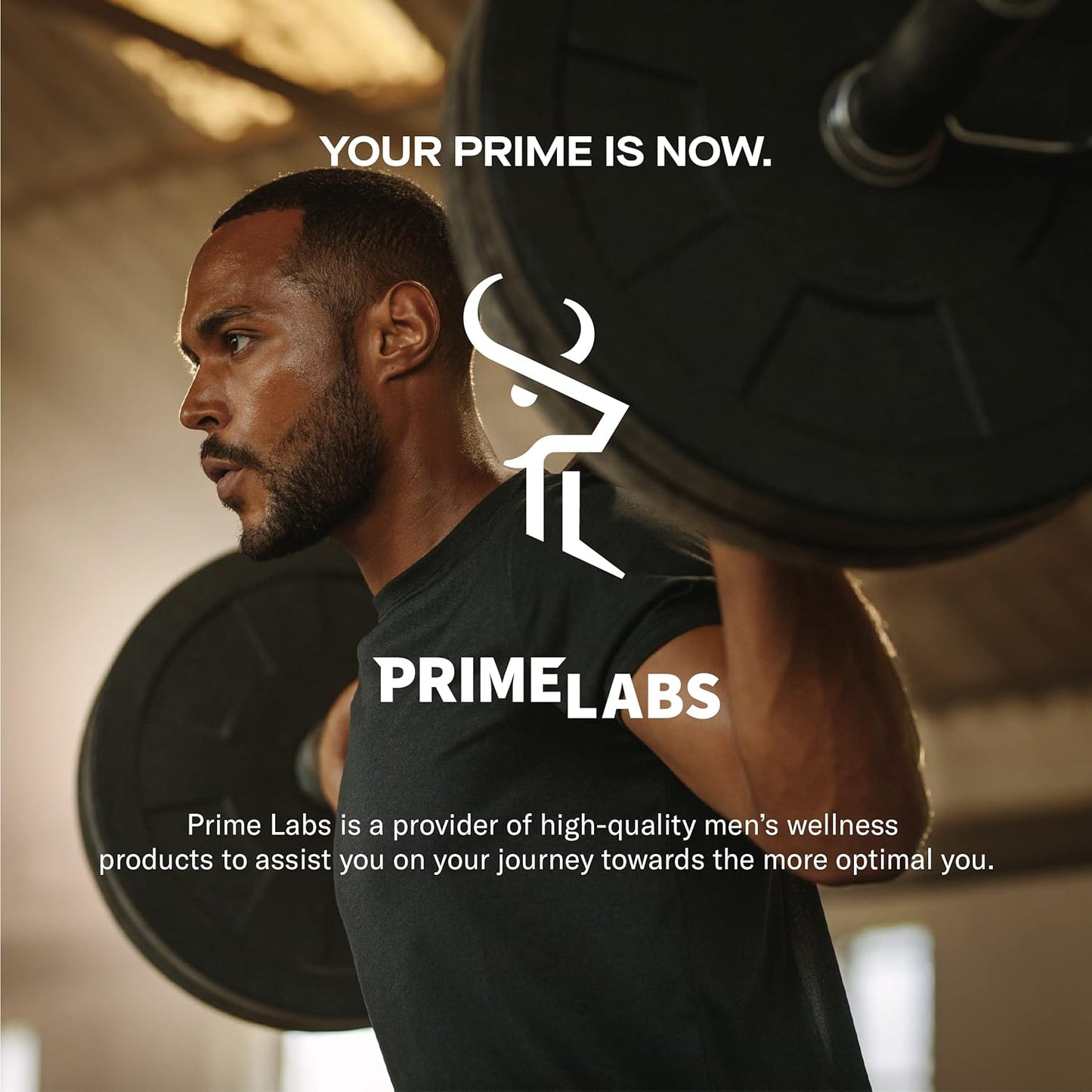 Prime Labs Men'S Testosterone Booster