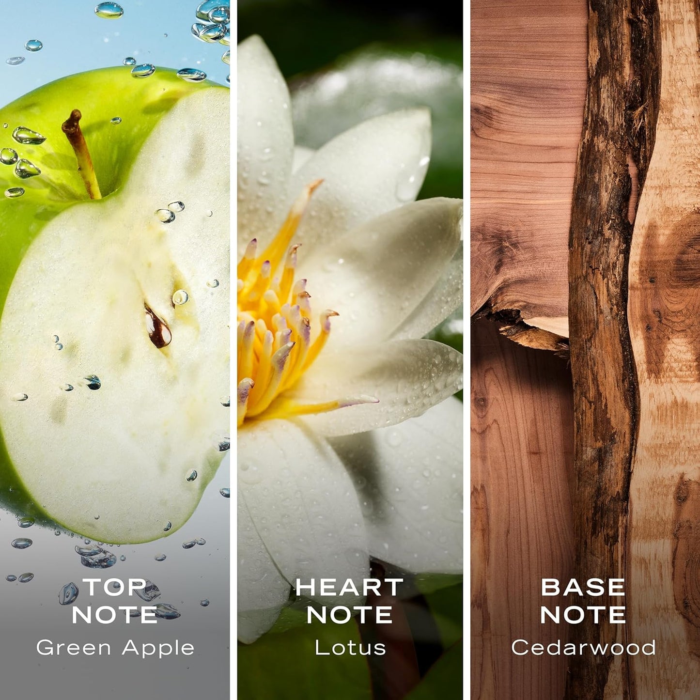 Voyage Eau De Toilette Cologne Long Lasting 3.3Fl Oz