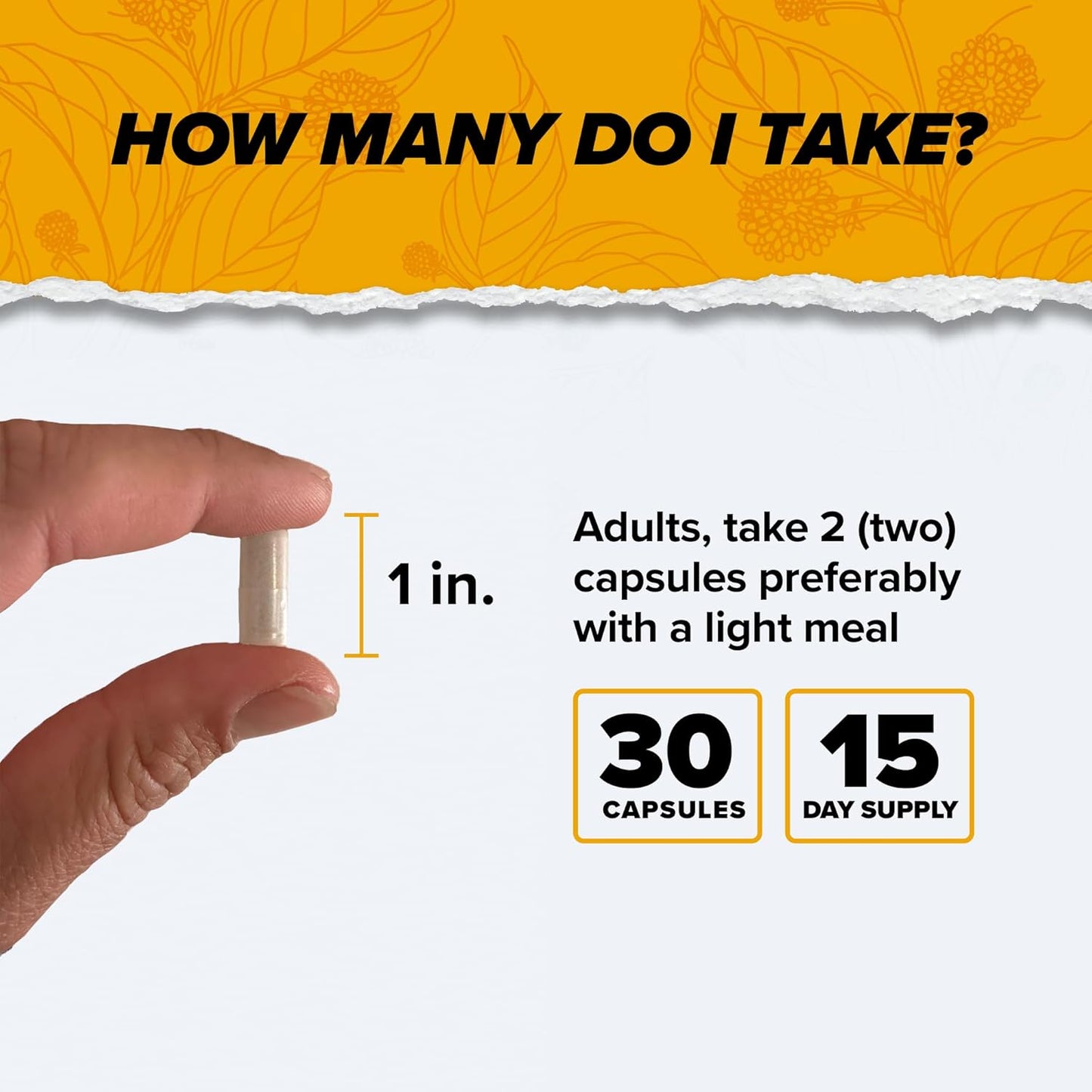 Alpha Brain for Men & Women